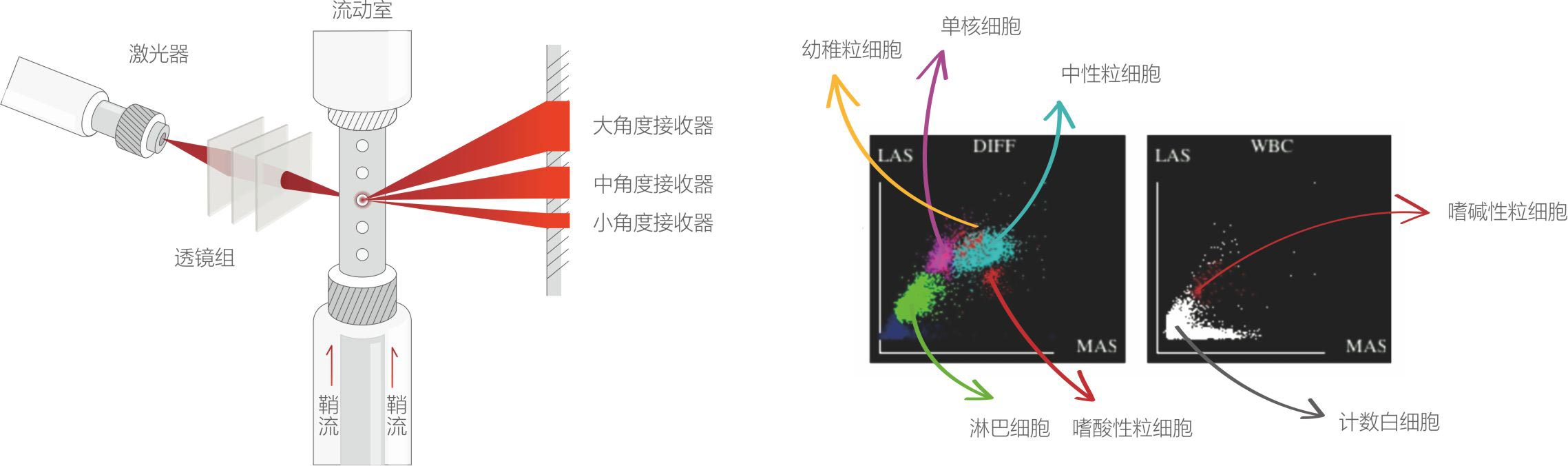 5分类原理图.jpg